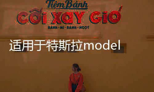 适用于特斯拉model3 modely门槛条保护防踢迎宾踏板改装内饰配件